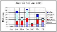 Dogtooth 2006