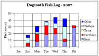 Dogtooth 2007