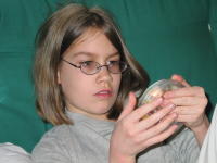 Christmas 2002�