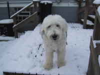 Christmas 2002�