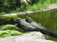Florida - April 2003�