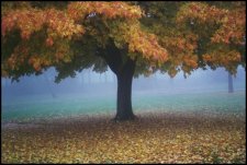 Fall 2000 - St. Mary's park...