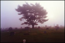 Minier cemetary...