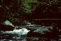 Minakwa Lodge - Gogama, Ontario - August 1977