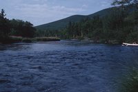 Nova Scotia - August 1982