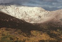 New Mexico and Texas - October 1983