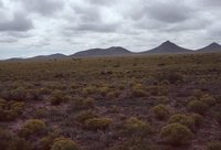 New Mexico and Texas - October 1983