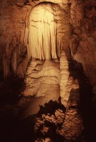 New Mexico and Texas - October 1983