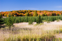 Keweenaw Peninsula - October 2005
