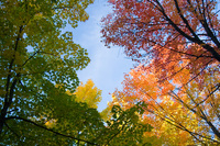 Keweenaw Peninsula - October 2005