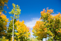 Keweenaw Peninsula - October 2005