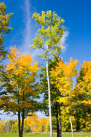 Keweenaw Peninsula - October 2005