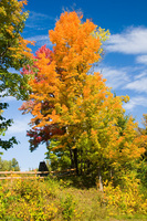 Keweenaw Peninsula - October 2005