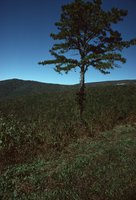 British Columbia - September 1979