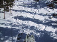 Colorado - January 2004