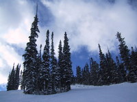 Keystone - January 2005