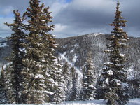 Keystone - January 2005