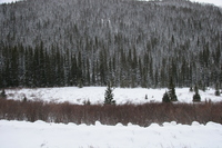 Keystone - January 2005
