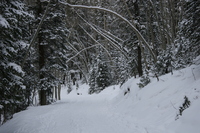 Keystone - January 2005
