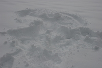 Keystone - January 2005