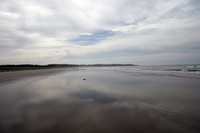 Clam Harbour Beach