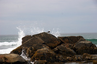 Clam Harbour Beach